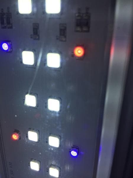 Ｙ【中古品】水槽セット ADA30CM蓋付 ろ過装置