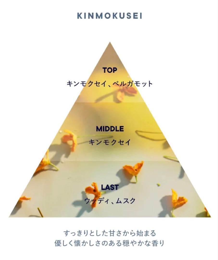 SHIRO　シロ　香水　オードパルファン　お試し　5本セット　10mL×5