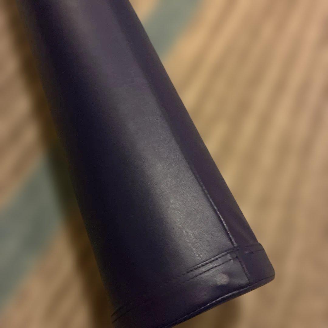 美品　正規品ストレッチポール StretchPole EX LPN