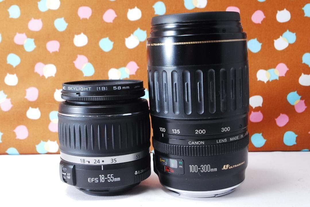 ✨お買い得✨Canon Kiss Digital N ダブルレンズセット