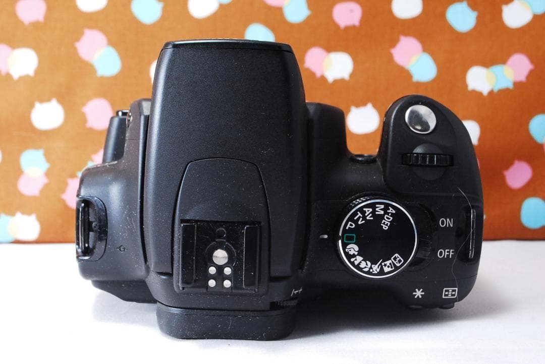 ✨お買い得✨Canon Kiss Digital N ダブルレンズセット