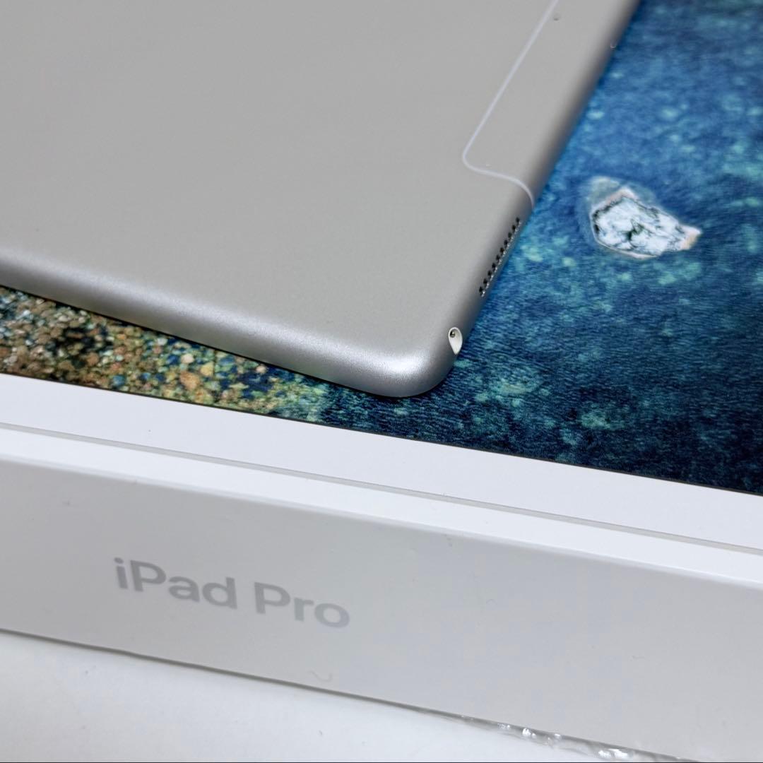 iPad Pro 12.9インチ 64GB 第2世代Cellular