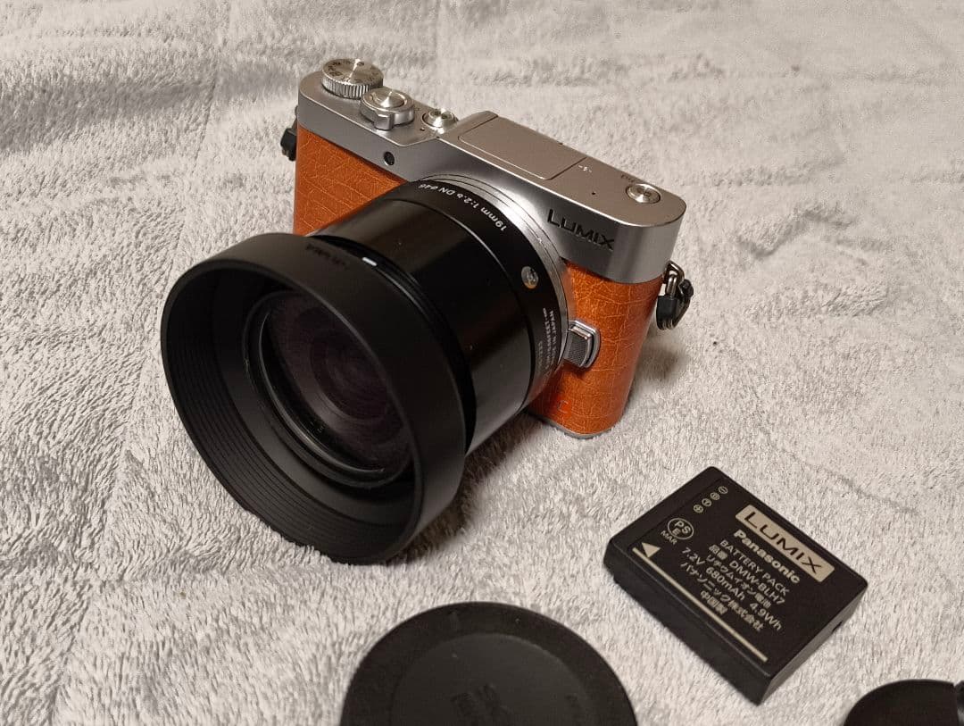 【完動品】LUMIX GF9 本体+SIGMA Art 19mm f2.8 DN