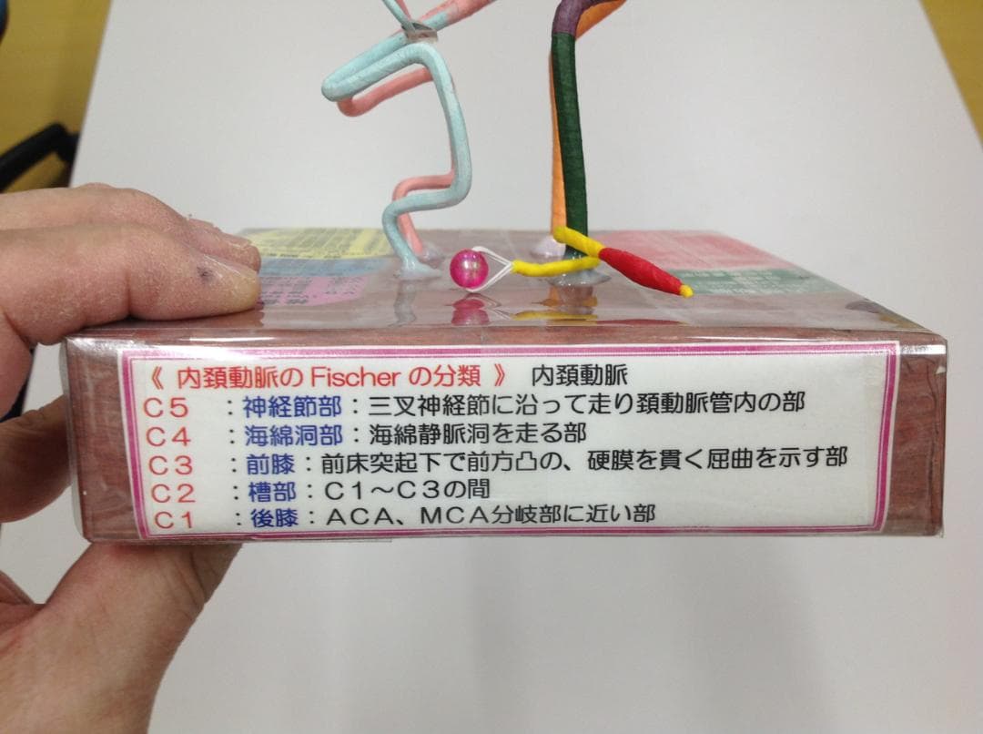 脳血管模型（脳血管模型を作れない必要な人のために） 脳血管模型KAGAWAモデル