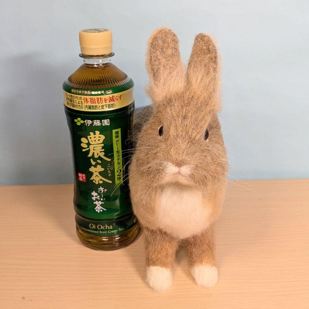 Masa様オーダー　羊毛フェルト　うさぎ　ライオンラビット確認用