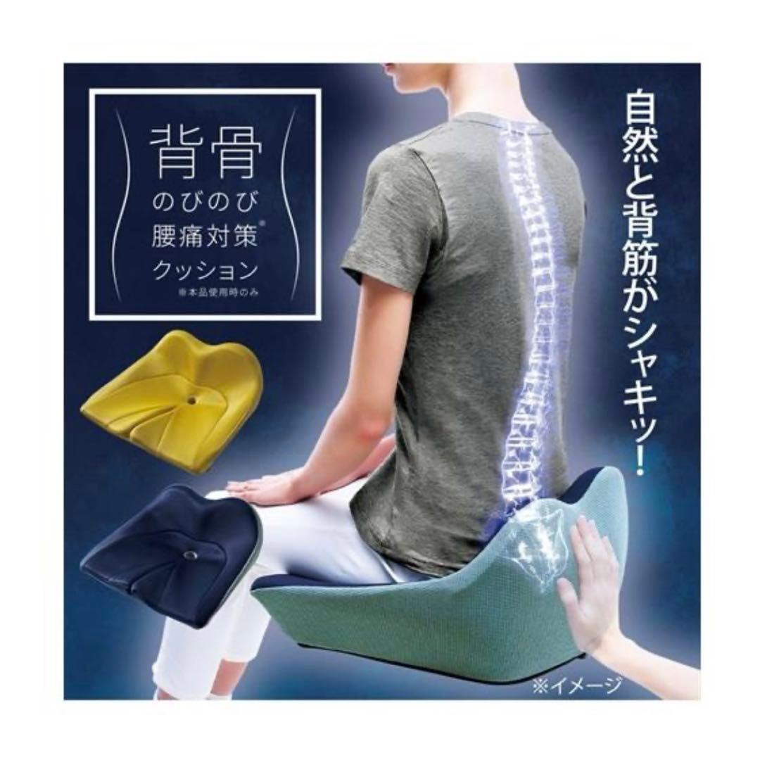 【美品】ニッセン 背骨のびのび腰痛対策 クッション nissen