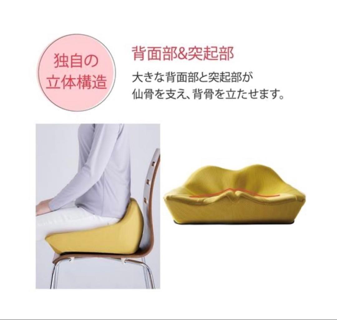 【美品】ニッセン 背骨のびのび腰痛対策 クッション nissen