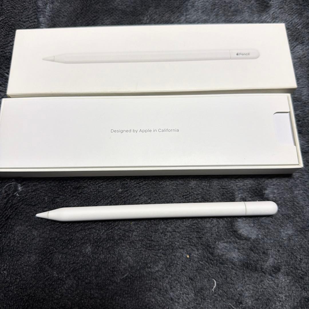iPadアクセサリー Apple Pencil(USB-C)