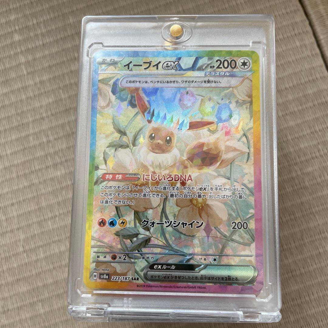 ブイズセット　sar　極美品　テラスタルフェス