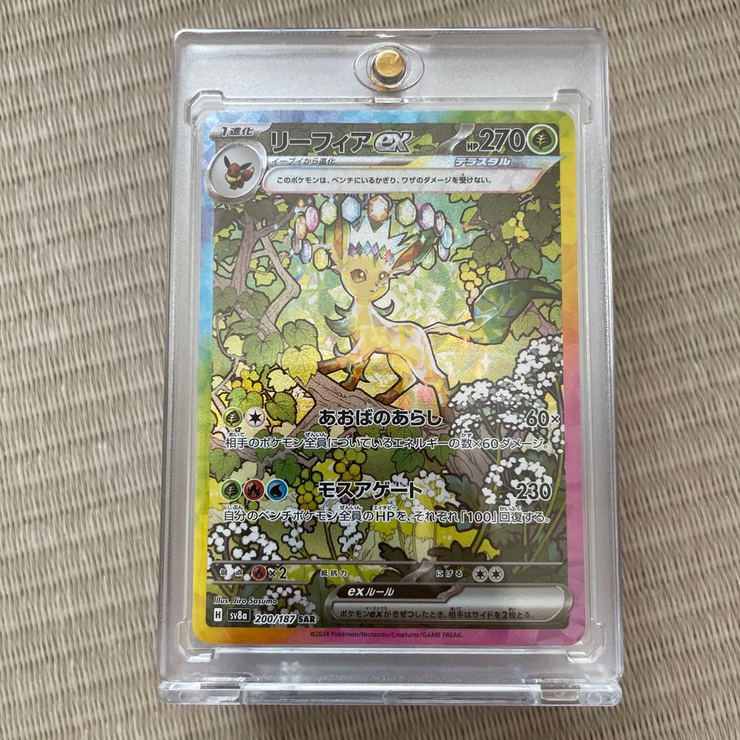 ブイズセット　sar　極美品　テラスタルフェス