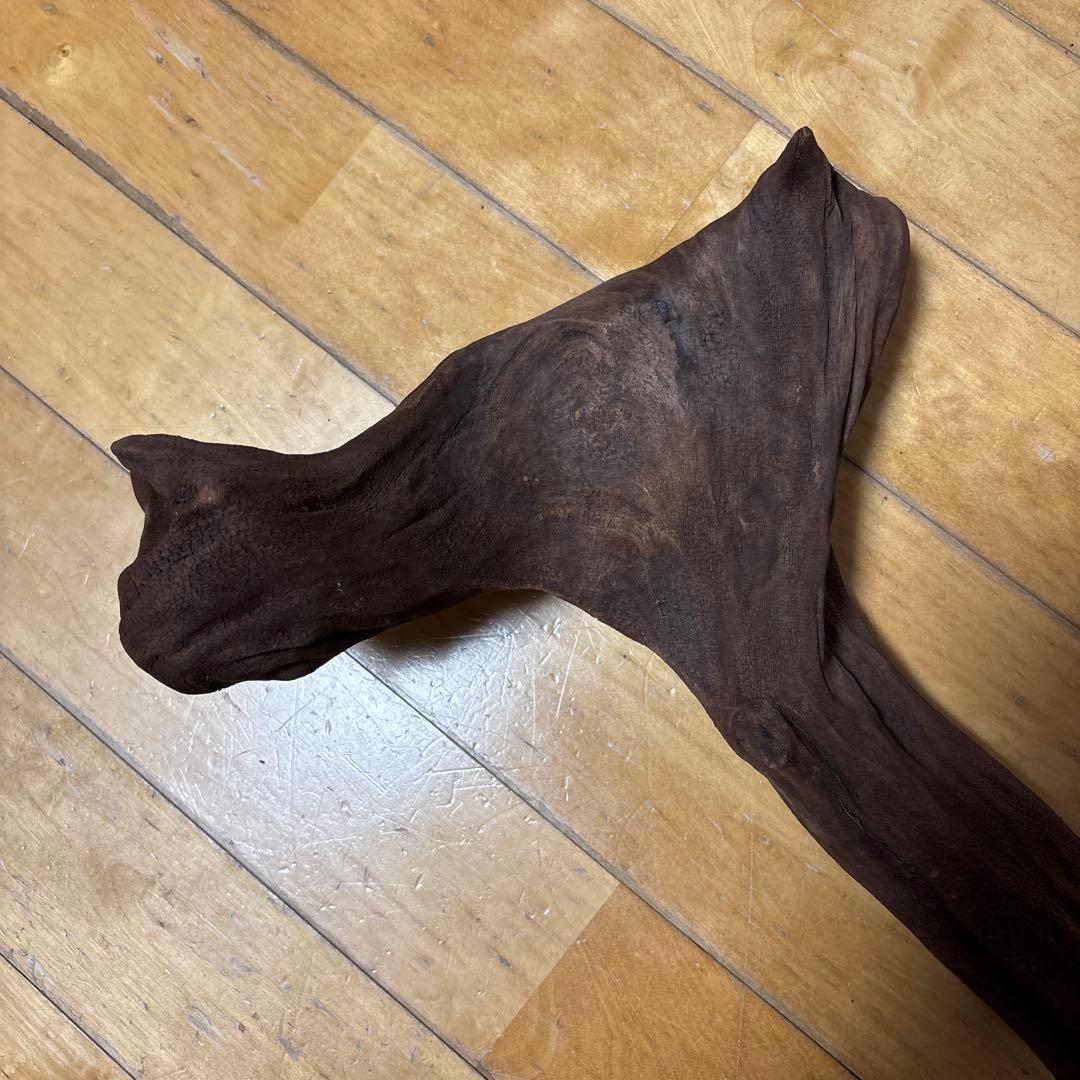 水槽用天然流木 約55cm ダークブラウン
