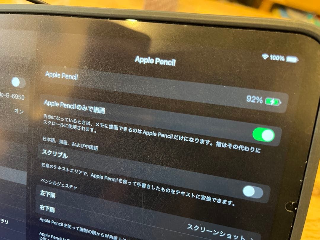Apple Pencil usb c 正常稼働品