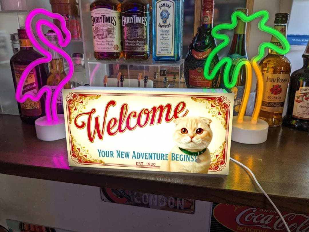【猫種変更 似顔絵 無料】猫 スコティッシュフォールド 看板 雑貨 ライトBOX
