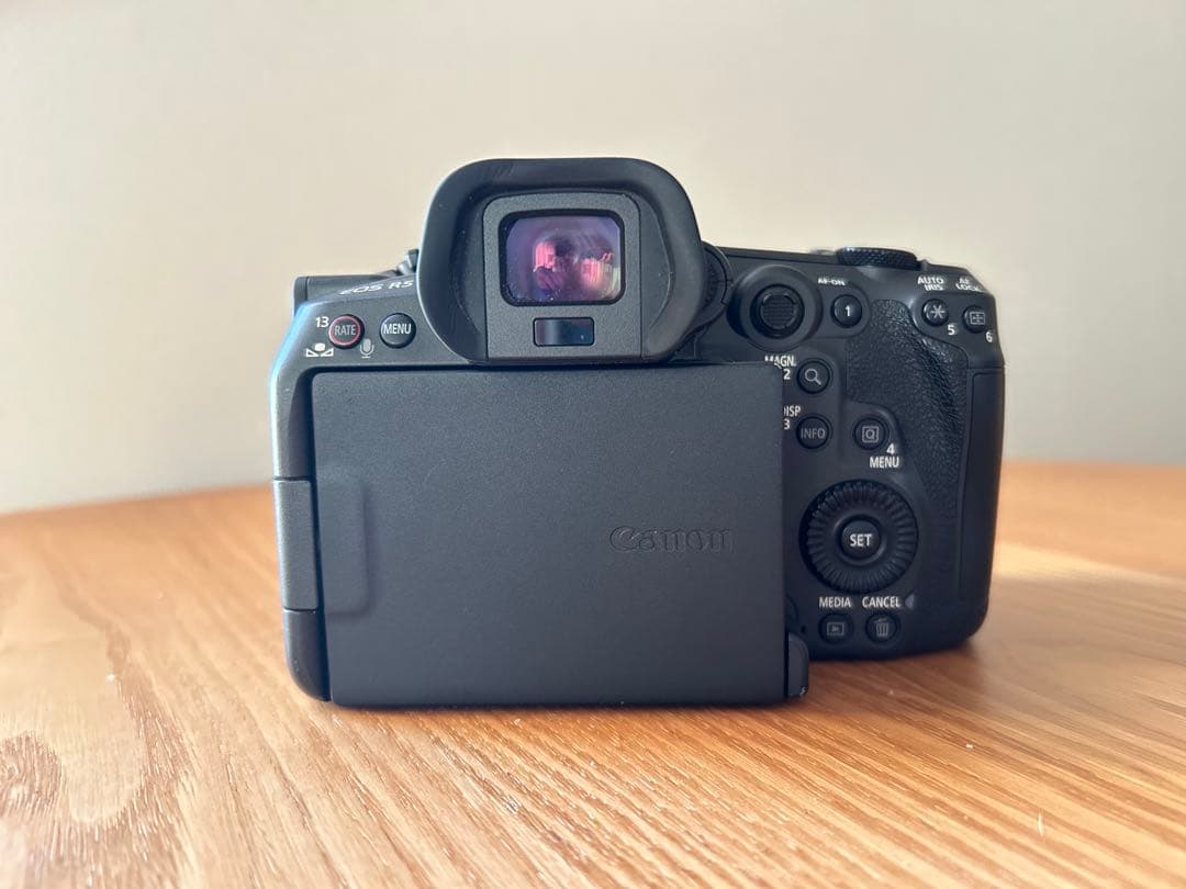値下げ Canon(キヤノン) EOS R5 C ボディ