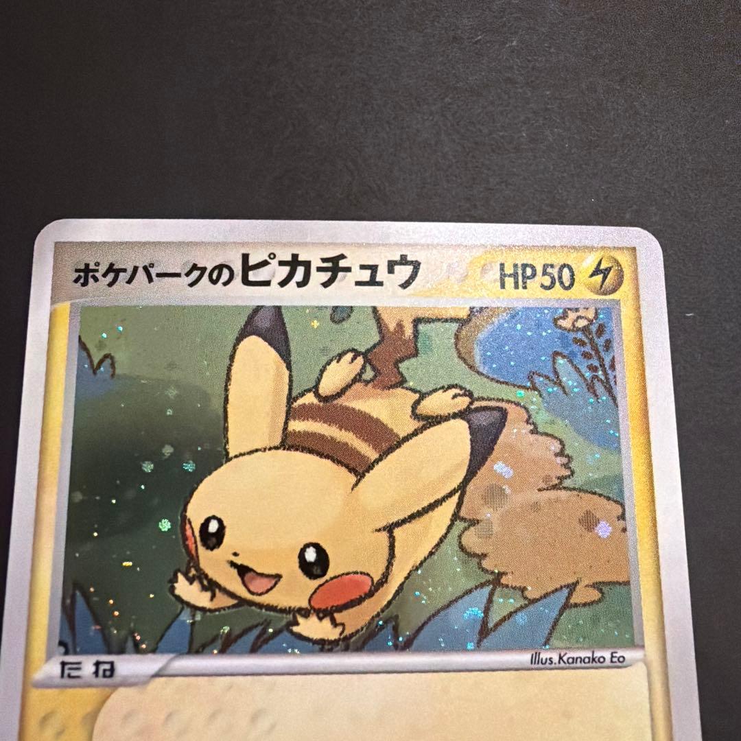 ポケパークのピカチュウ ポケパークプレミアムファイル 004/009