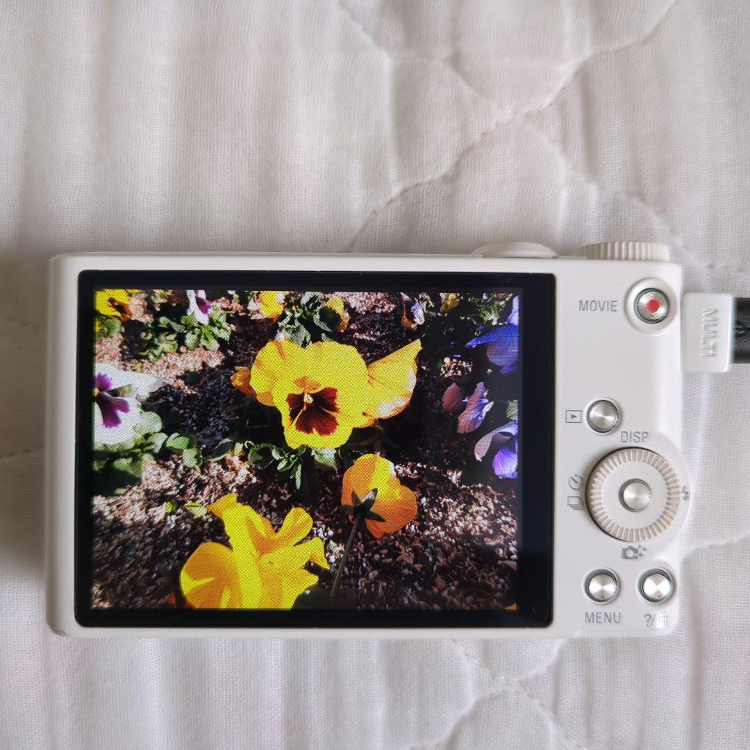 SONY Cyber-shot DSC-WX350＋ジャケットケース