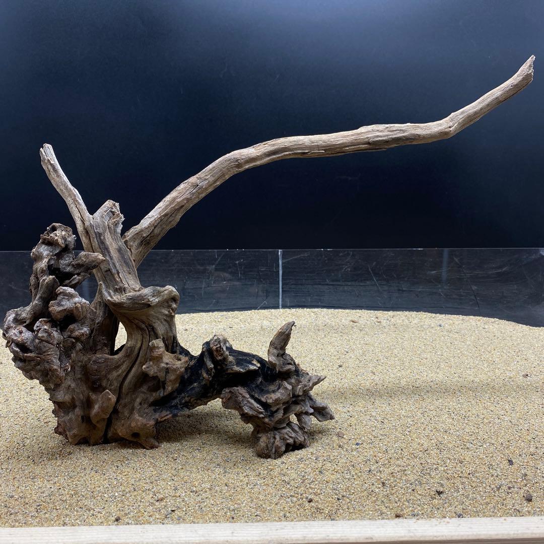 MSRW-6336 MSW-6198天然流木1点物　スリムウッド　アクアリウム