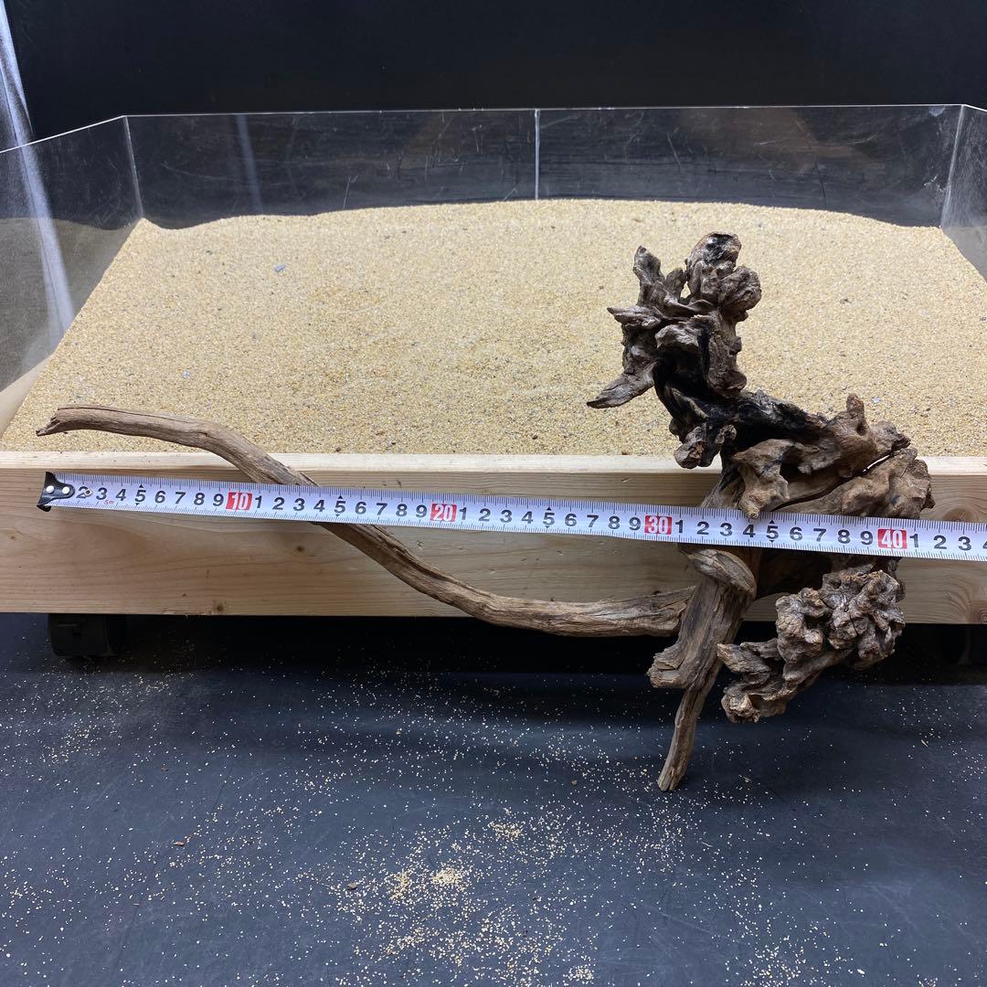 MSRW-6336 MSW-6198天然流木1点物　スリムウッド　アクアリウム