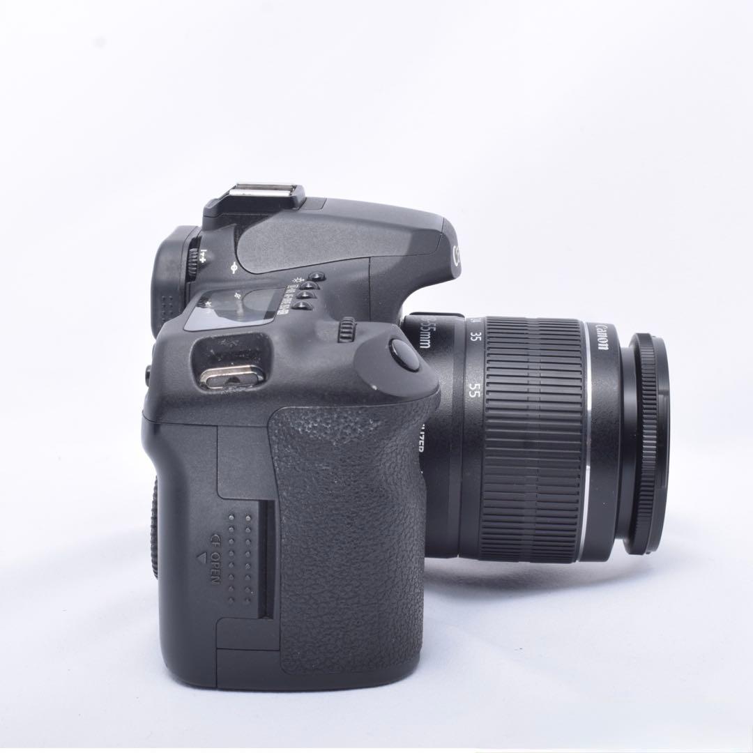 ⭐️お花見や入学式などに最適⭐️Canon EOS 50D 一眼レフカメラ