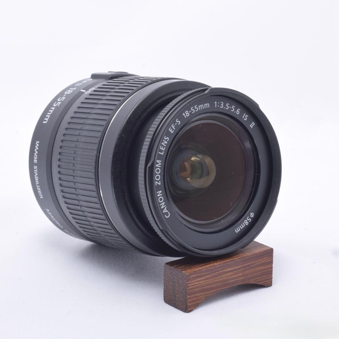 ⭐️お花見や入学式などに最適⭐️Canon EOS 50D 一眼レフカメラ