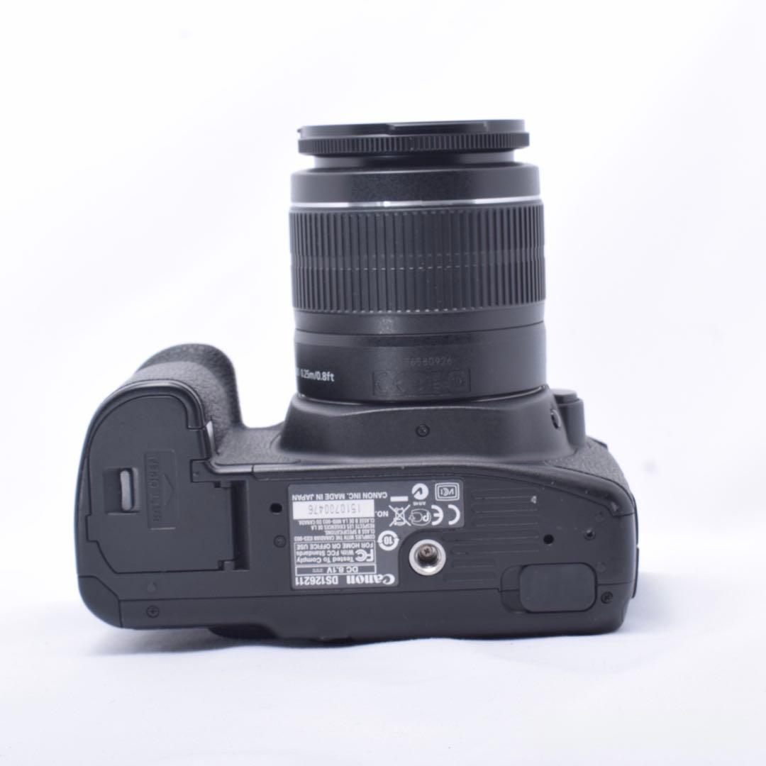 ⭐️お花見や入学式などに最適⭐️Canon EOS 50D 一眼レフカメラ