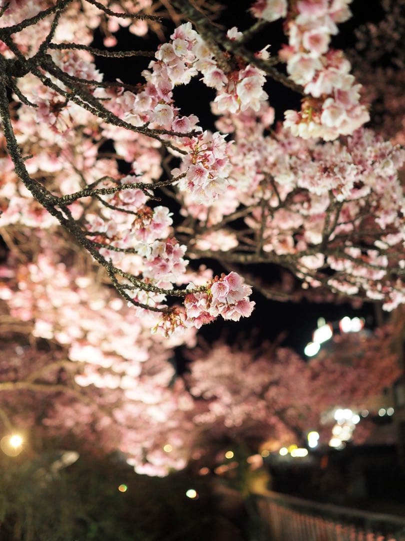【バッテリー付】OLYMPUS M.ZUIKO 17mm f/1.8