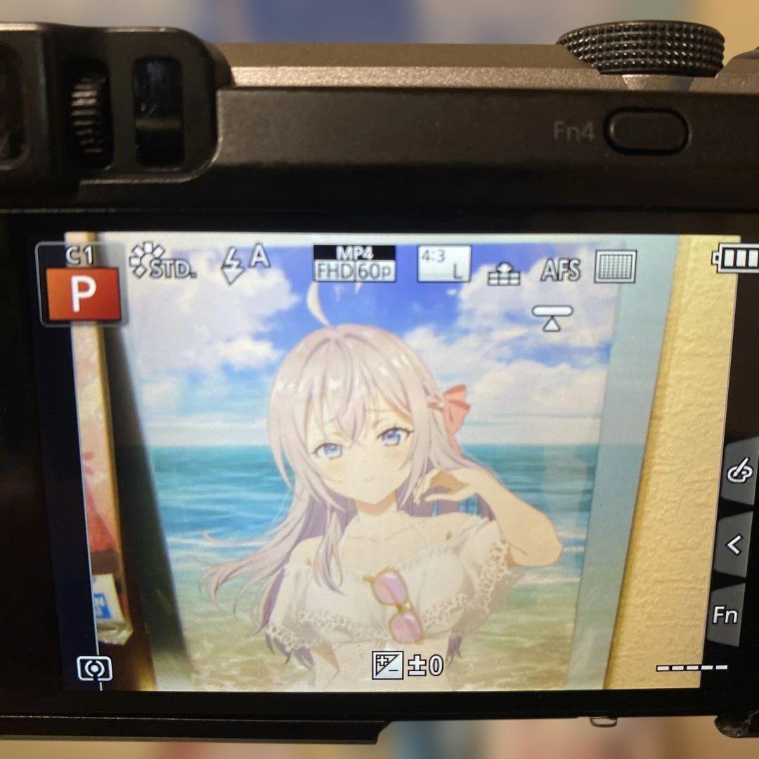 Panasonic LUMIX LEICA DMC-TZ85 デジカメ
