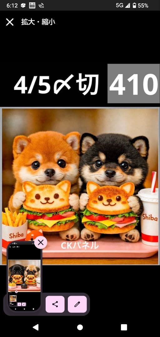 ハンドメイドオーダー受け付け(パピヨン、パグ、ポメラニアン、シュナウザー)