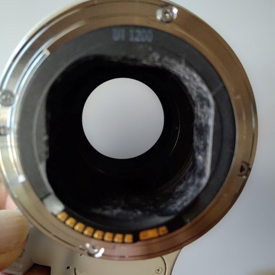 キャノン EF70―200mm F2.8L USM一眼カメラ用レンズ