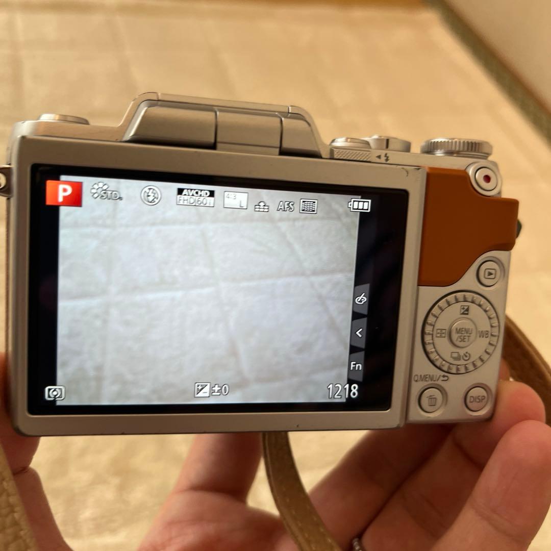 Panasonic LUMIX G ミラーレスカメラ