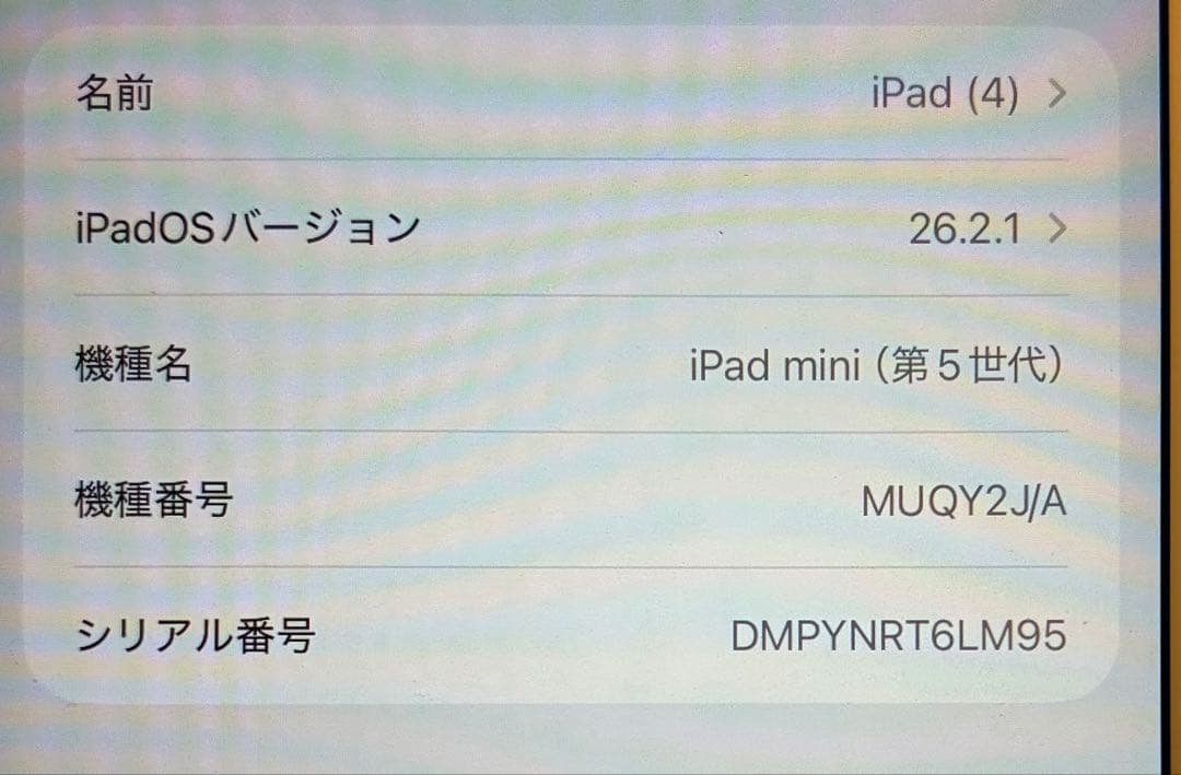 iPad mini (第5世代) Wi-Fiモデル　65GB