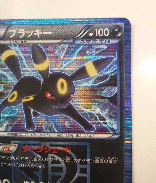ブラッキー R BW8 ライデンナックル 031/051　1ED ポケモンカード