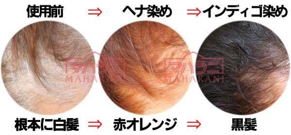 ２０２４年産　インディゴ　５００g　１個　無添加　ヘナを黒く　選べるおまけ４点