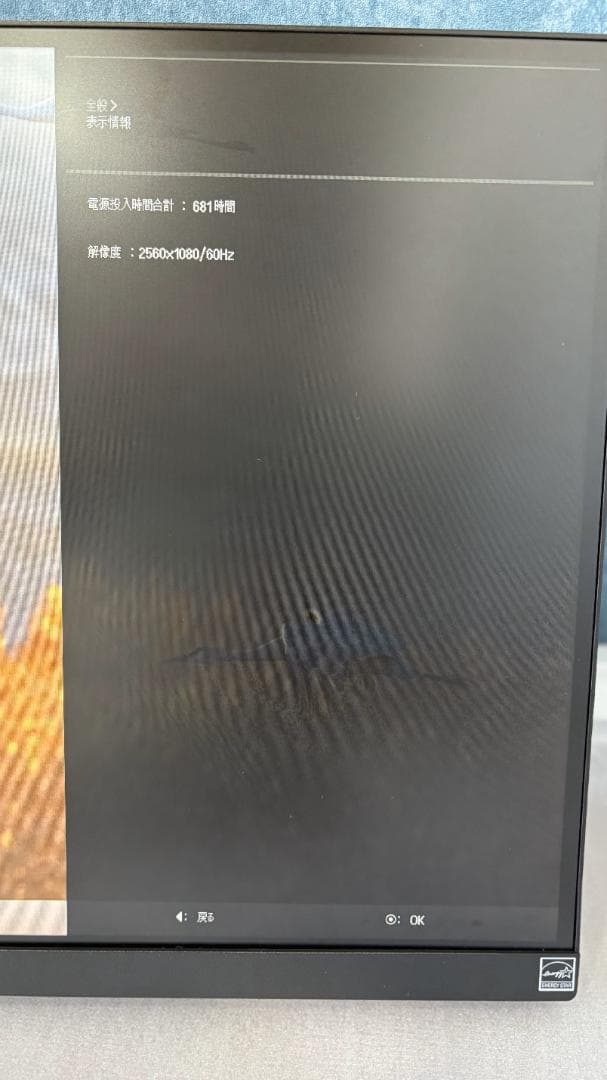 LG 29WQ600-W 29インチ ウルトラワイドモニター
