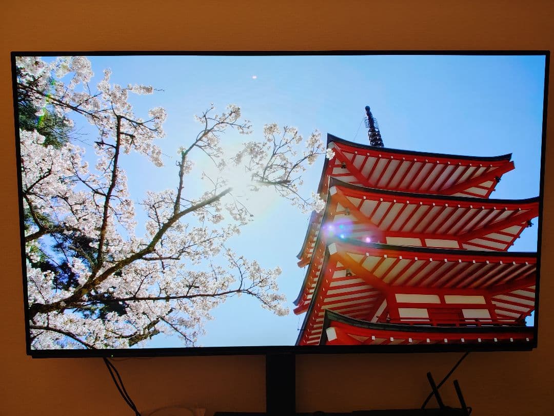 VIERA TH-55EZ950 有機EL