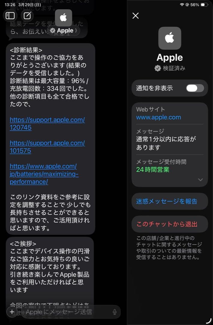 iPad mini6 256GB Cellular バッテリー96% 美品