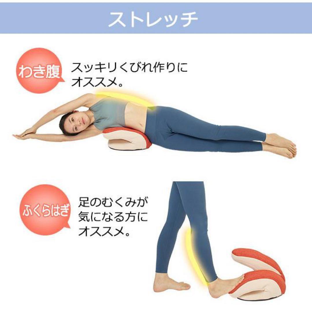 【未使用】フィットネスクラブがつくった バウンドクッション Twin (ツイン)