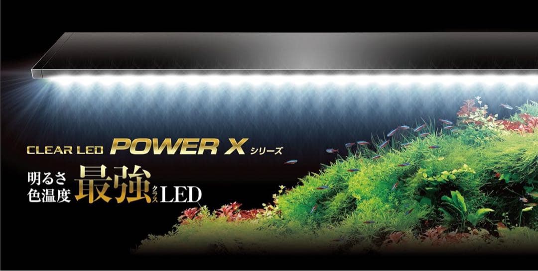 GEXクリアLEDパワーX600 アクアリウムLEDライト60cm水槽用