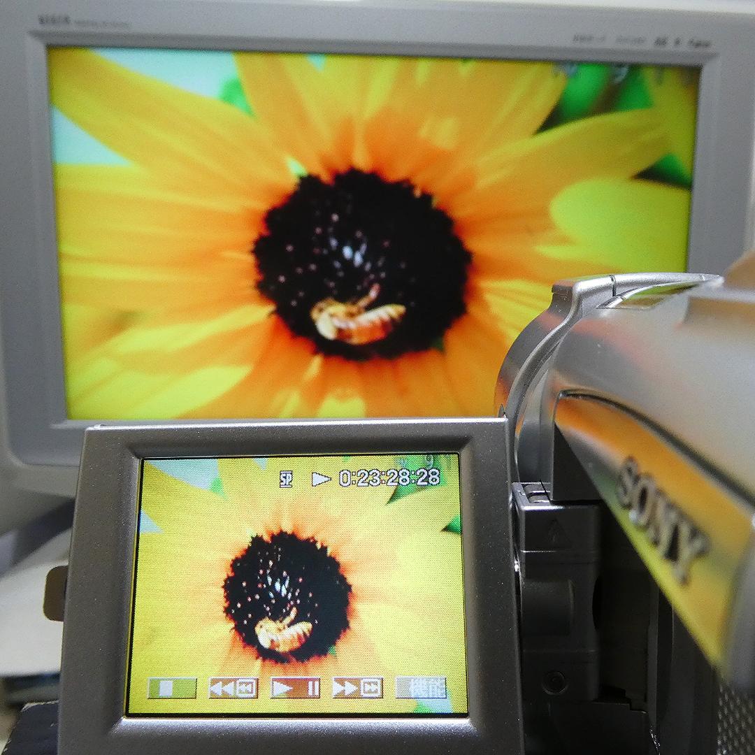 ソニー　DCR-TRV70 【動作良好】MiniDVビデオカメラ ダビングに最適