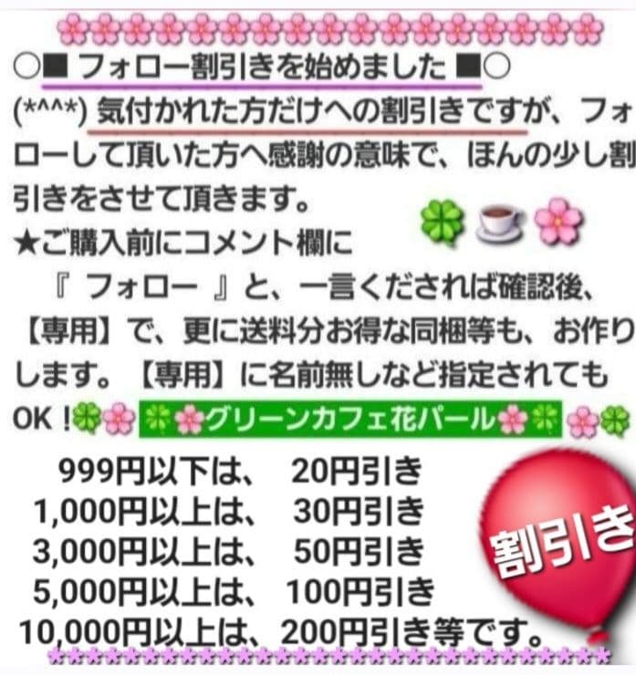 機内持込み 超軽量 キャリーケース 39L リーベン Sサイズ　TSAロック