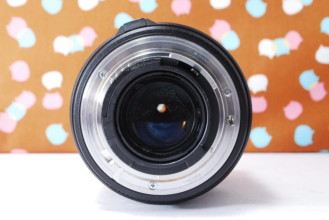 ✨美品✨ハイアマチュア機✨Nikon D100 レンズセット