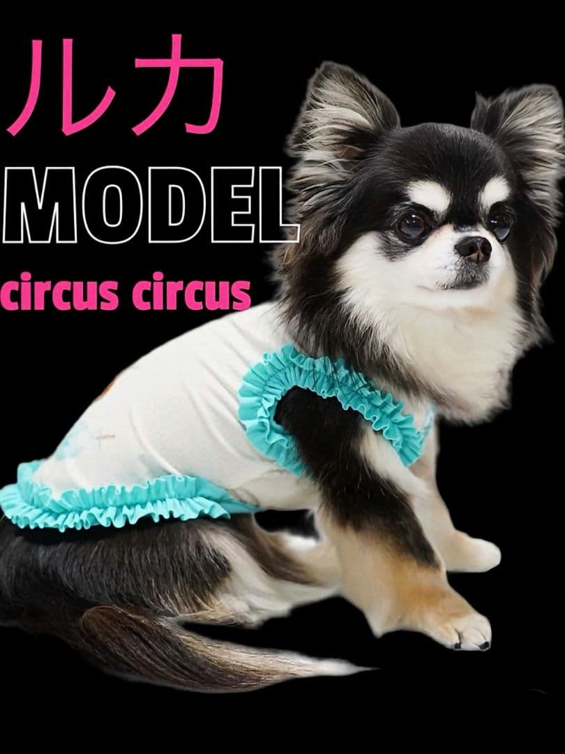 F Laundry BearフリルタンクXS＆マット セットcircusサーカス