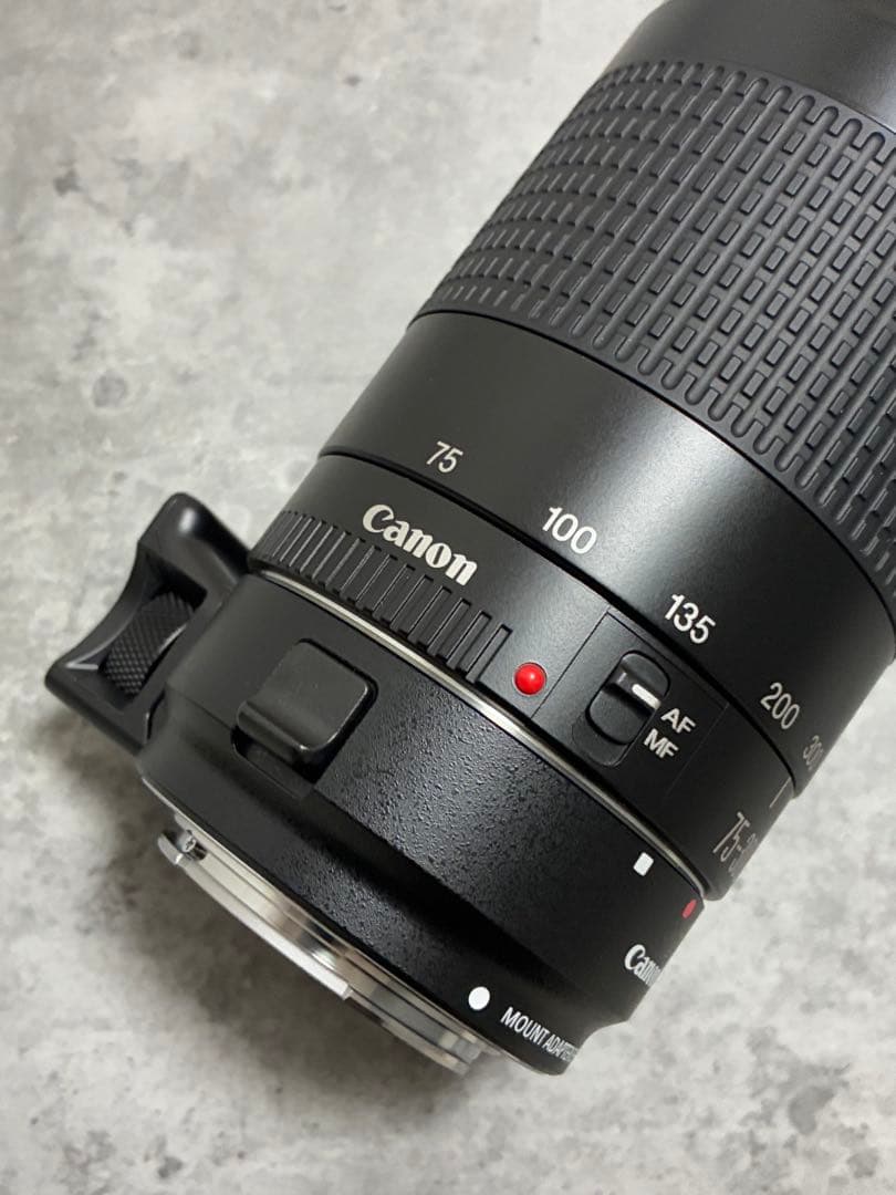⭐️美品⭐️Canon EFS 75-300 II & EF-EOS M アダプター