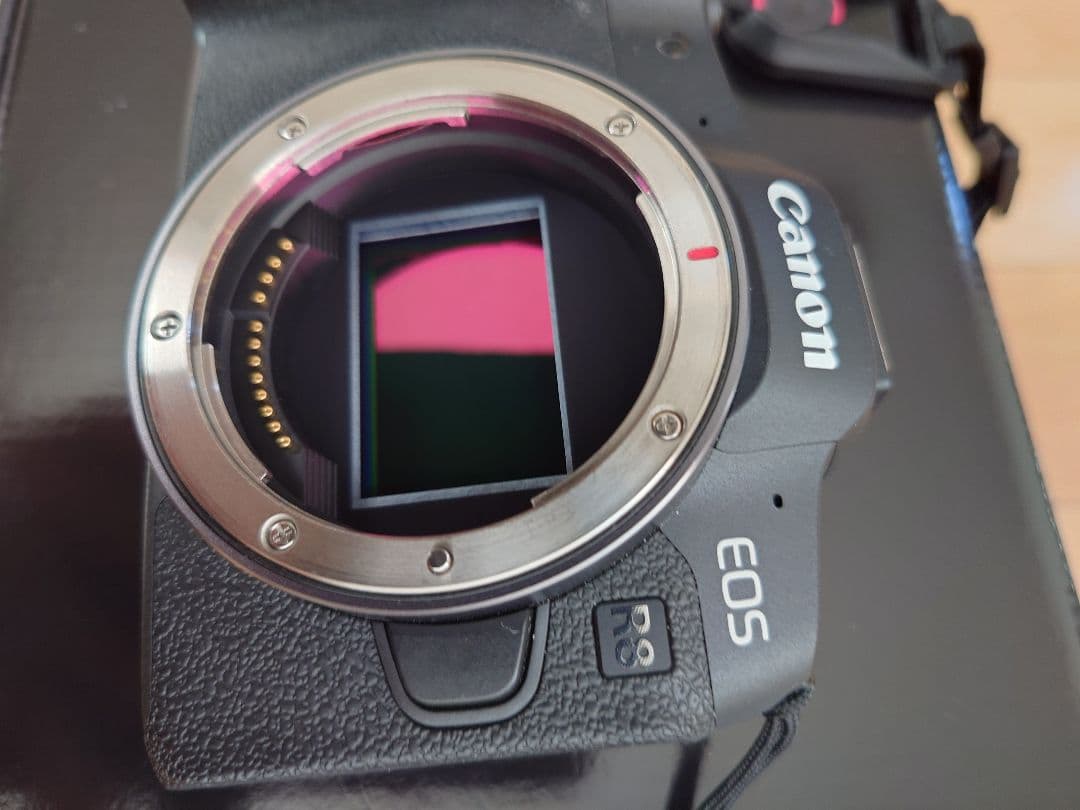 Canon　eosr8ボディゴンになります。