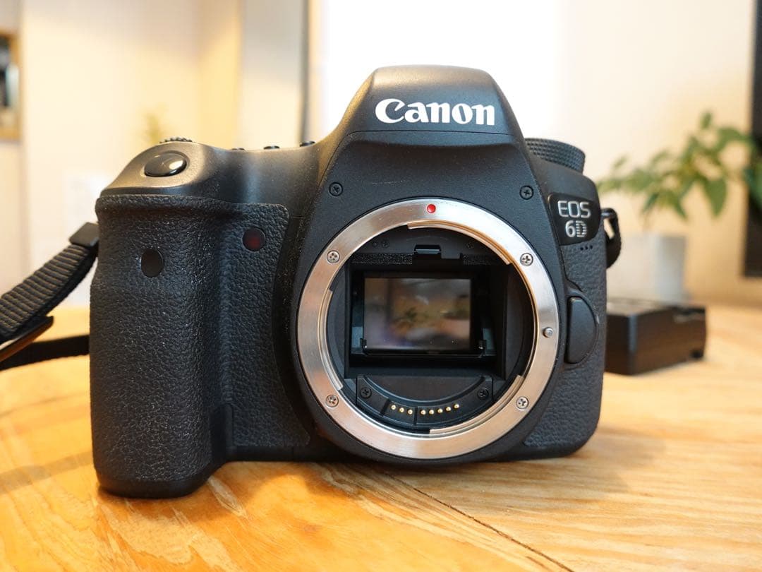 Canon EOS 6D デジタル一眼カメラ　ストロボ+純正レンズ50mm付き