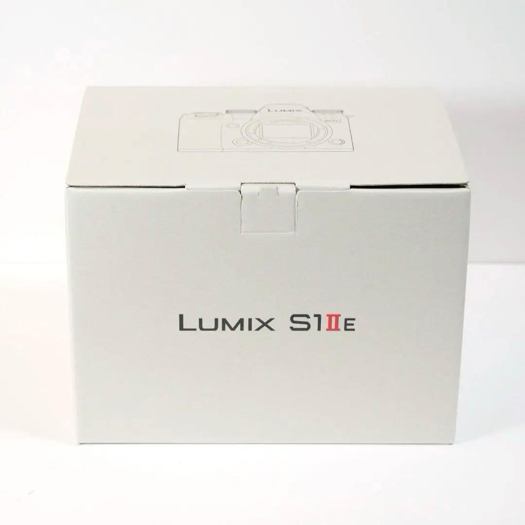 【美品】パナソニック LUMIX DC-S1M2ES