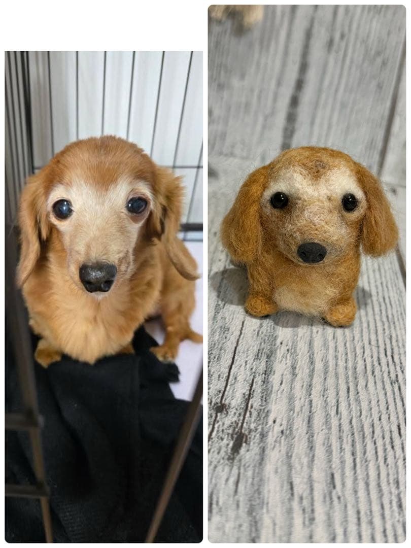 ちまっとあにまるず　羊毛フェルト　うちの子　マスコット　ペット　プレゼント