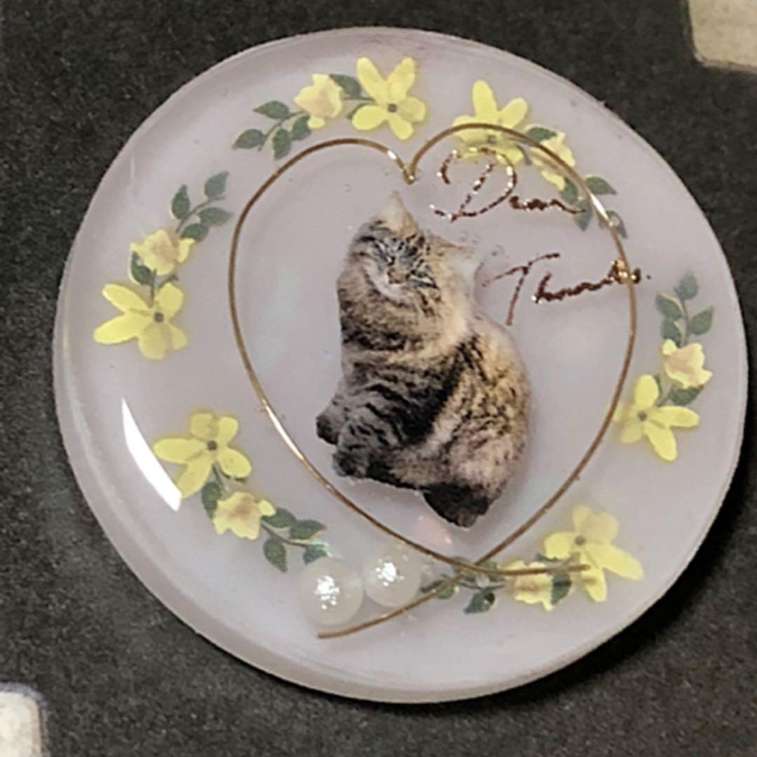 NO.121 おすまし♡猫ちゃん