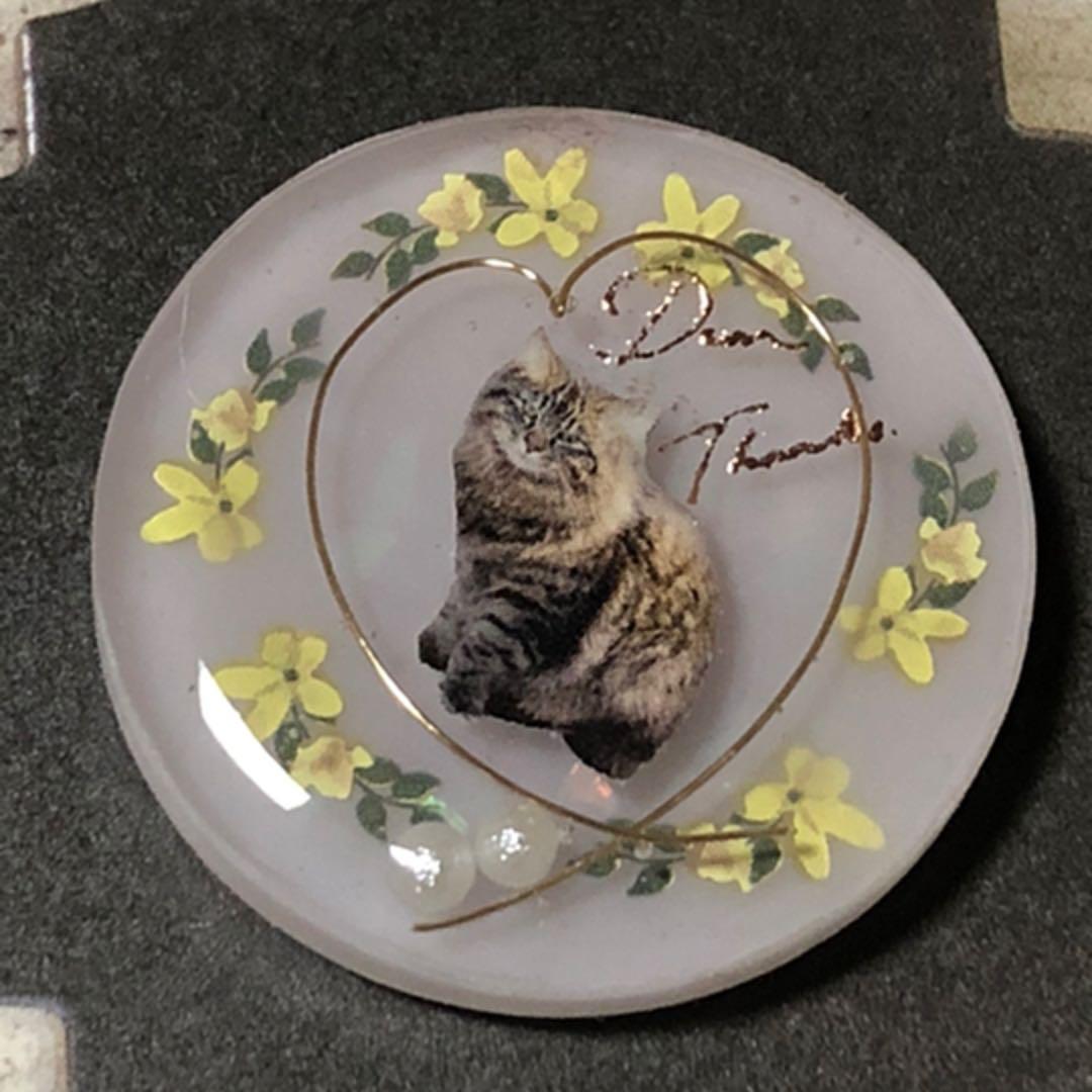 NO.121 おすまし♡猫ちゃん