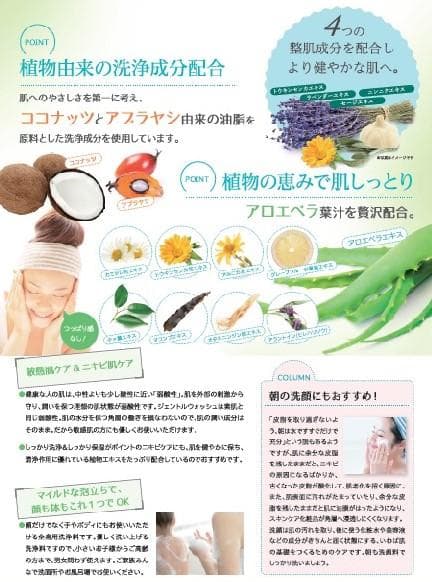 エリナ ジェントルウォッシュ （ハンドクレンザー）3本 正規品 ERINA
